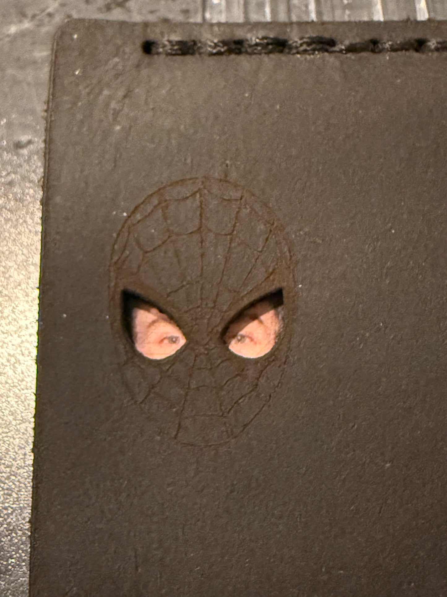 Spider ID Cover