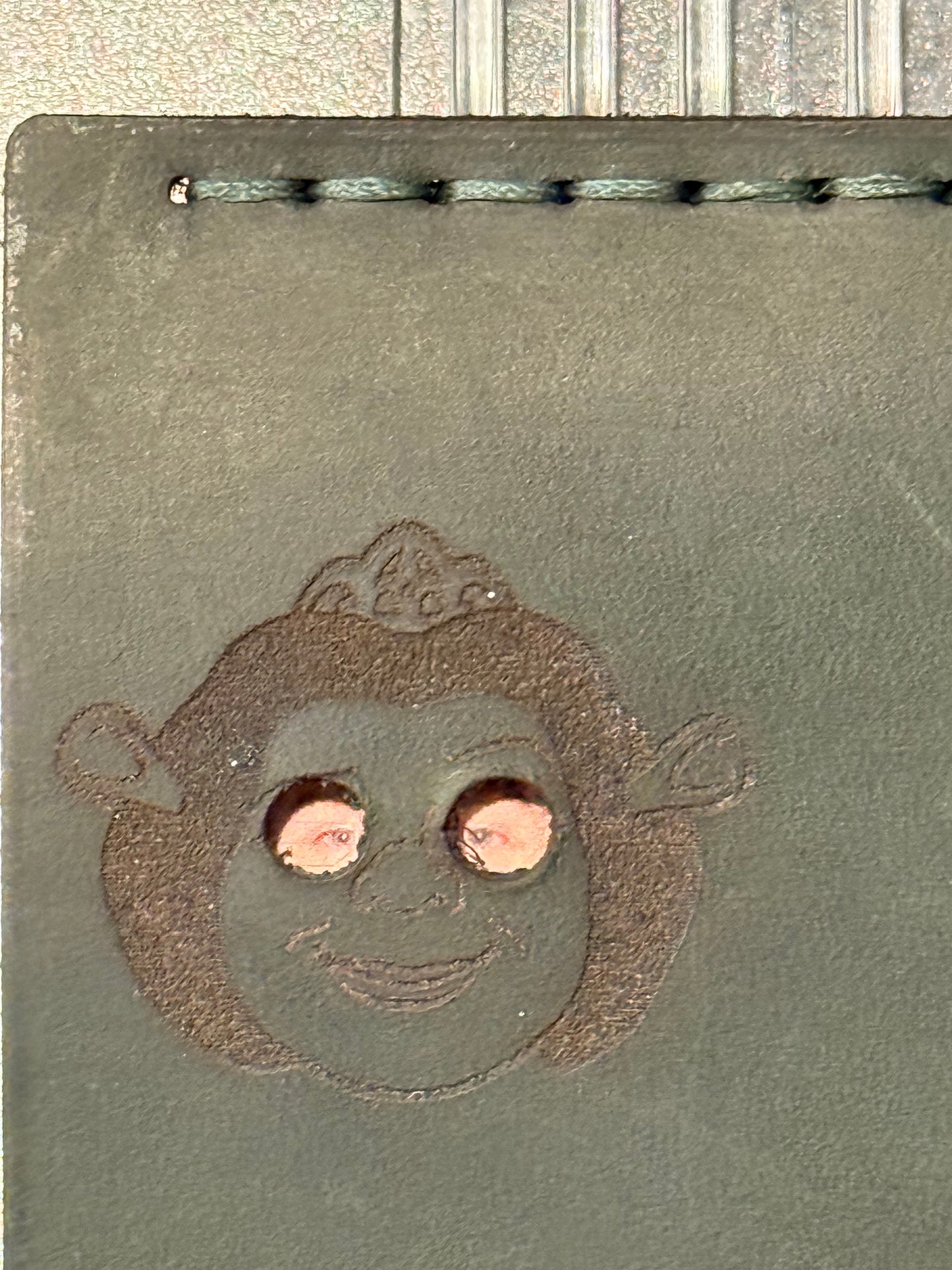 Fiona ID Cover