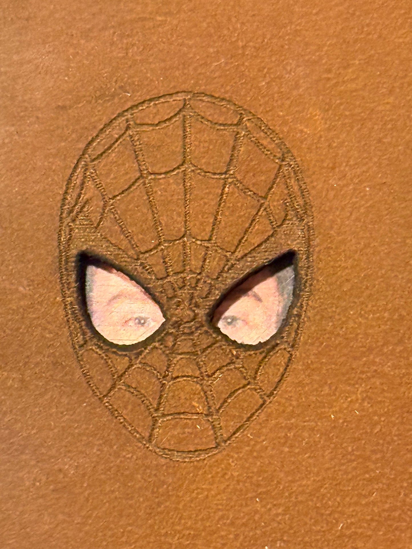 Spider ID Cover