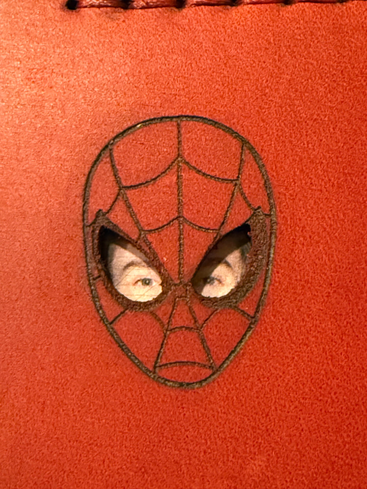 Spider ID Cover